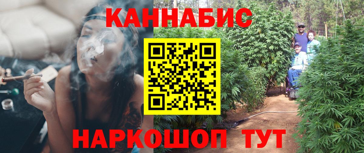 Бошки Шишки SATIVA & INDICA  Вход с VPN  Баксан  Бошки Шишки гибрид  Бошки Шишки семена  Канабис план 